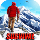 Winter Survivor 3D icône