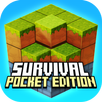 Survival 3D Pocket Edition APK