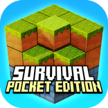 Survival 3D Pocket Edition