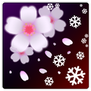 SAKURA Xmas Live Wallpaper APK