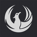 DSP8.8 APK