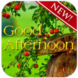 Good Afternoon Wishes