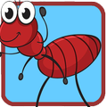 appy Ant :pro simple but hard