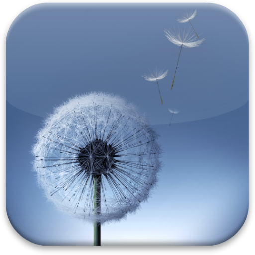 Dandelion S3 Launcher Theme