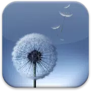 Dandelion S3 Launcher Theme