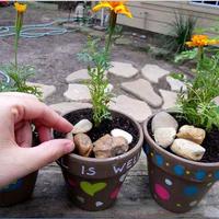 Homemade Flower Pot Rock plakat