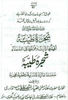 Shajrah Razviyah Amjadia(Urdu) ảnh chụp màn hình 1