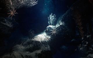 Under Narcosis poster