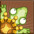Crazy Chameleon