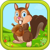Rollin Nuts APK
