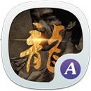 APK Theme for Bruce Lee