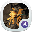 Theme for Bruce Lee APK
