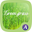 Green grass theme-ABC Launcher