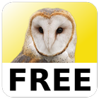 Magic Owl Free simgesi