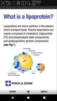 2 Schermata Lipids & Atherosclerosis