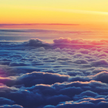 Airside Wildlife Logging