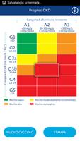 Renal Chart imagem de tela 3