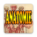 Anatomie FR