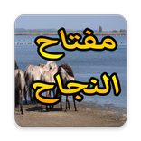 مفتاح النجاح