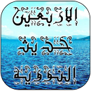 الأربعين النووية | ميراث النبى APK