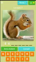 Devine les animaux domestiques poster