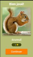 Devine les animaux domestiques screenshot 1