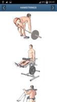 Bodybuilding Workout 截图 3