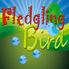 Fledgling Bird icône