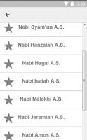 Kisah 25 Nabi Dan Selainya screenshot 2