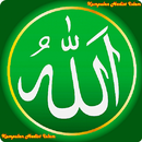 Kumpulan Hadits Islam APK