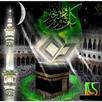 Quran Abdul Wadood Haneef APK
