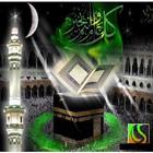 Quran Abdul Wadood Haneef icon