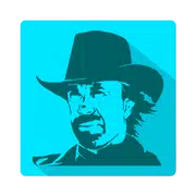 Chuck Norris Facts