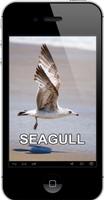 New Seagull Sounds โปสเตอร์