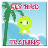 Fly Bird Training icône