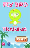 Fly Bird Training poster