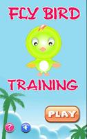 Poster Fly Bird Training