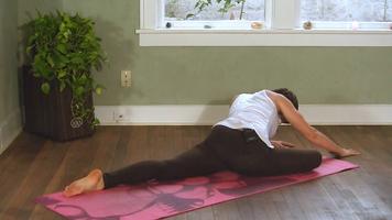 Yoga Stretches for Back Pain 截图 2