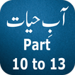 Aabe Hayat Part 10 to 13