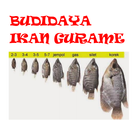 Budidaya Ikan Gurame आइकन