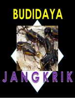 BUDIDAYA JANGKRIK MUDAH poster