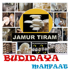 Jamur Tiram Budidaya & Manfaat icono