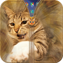 Kitty Zipper Lock APK