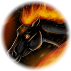 Black horse icon