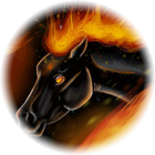 Black horse icône
