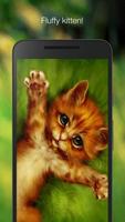 Fluffy kitten پوسٹر