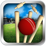 Cricket Run Out simgesi