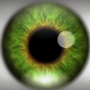 Visual Illusion APK