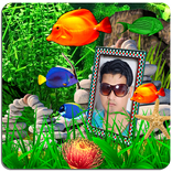 My Photo Aquarium Wallpaper