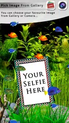 My Photo Aquarium Wallpaper APK download